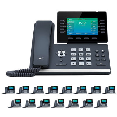 Business Phone System: Z-Cloud Y100