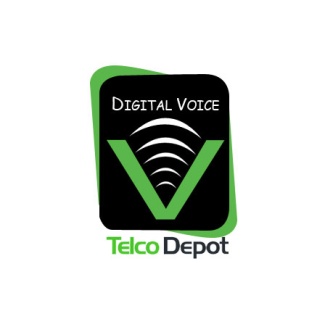 Telco Depot 4 Lines of VoIP Phone Service: 1 Month of Service